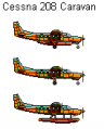 Cessna 208B Grand Caravan.png